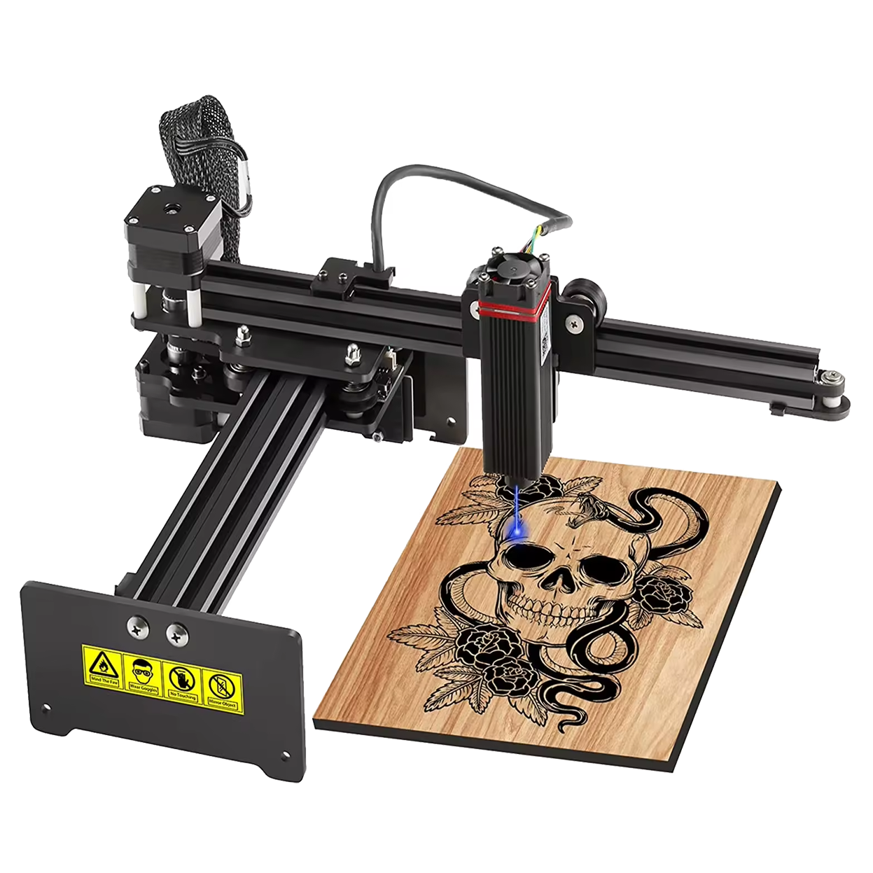 Laser Printing